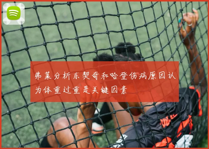 弗莱分析东契奇和哈登伤病原因认为体重过重是关键因素